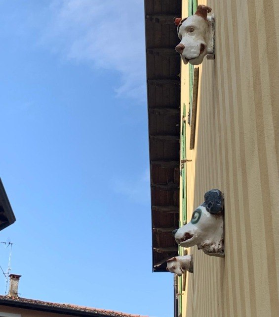 Due teste di cane sporgono dalla facciata gialla contro il cielo, nel vicolo stretto