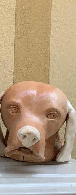 Testa di cane in creta cruda in studio, vista di tre quarti